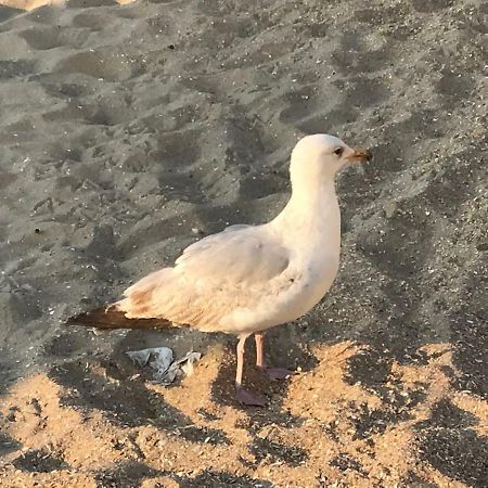 הוילה דה פאן Le Beau Coin מראה חיצוני תמונה