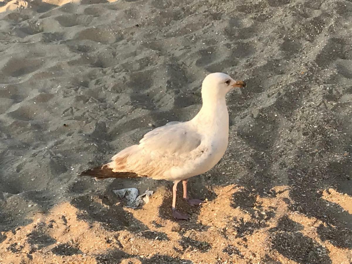 הוילה דה פאן Le Beau Coin מראה חיצוני תמונה